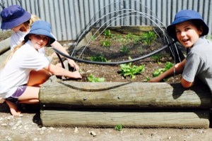 St Peter Chanel School Motueka